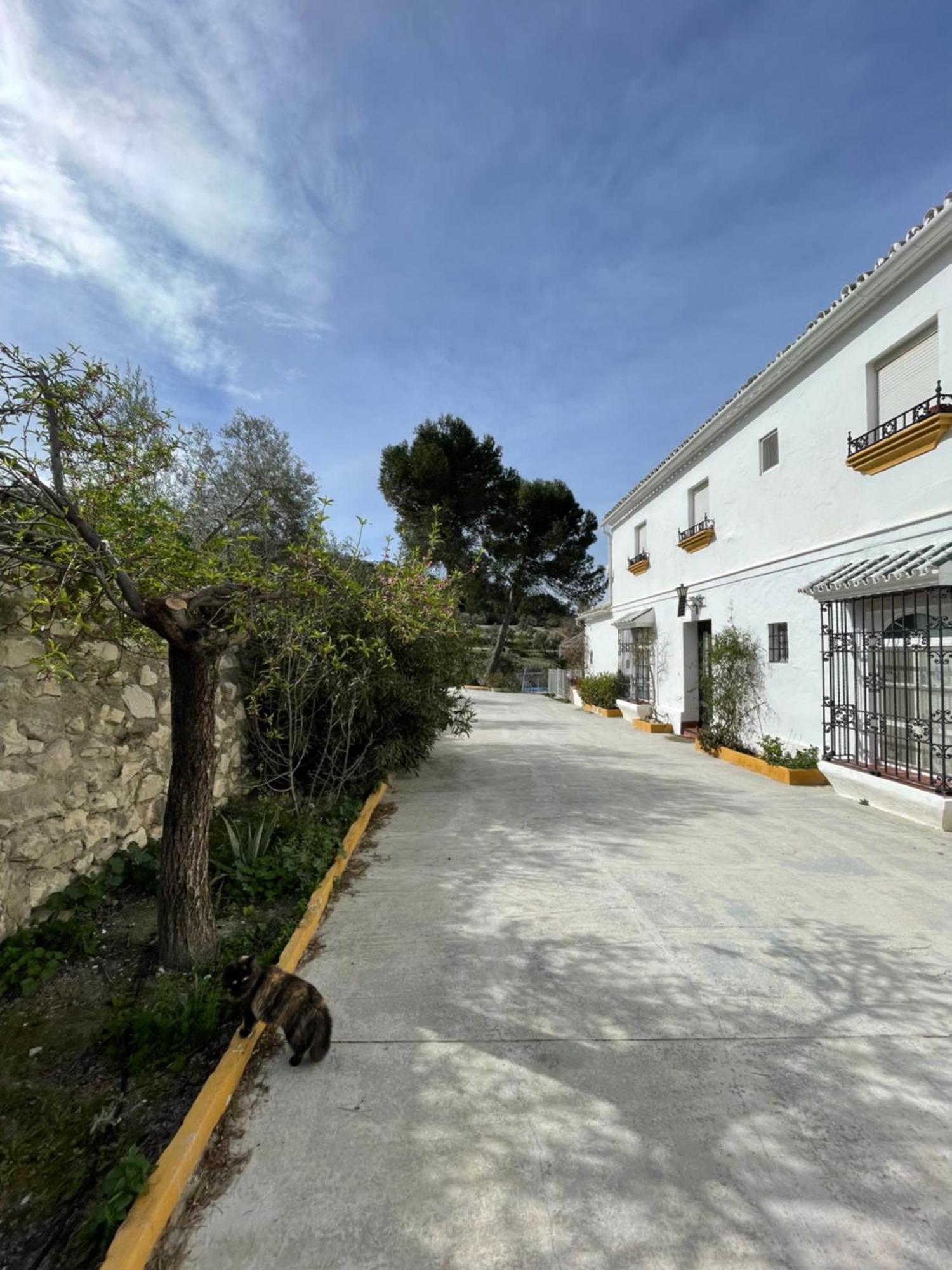 Vina Zarzarrosa Osuna Esterno foto